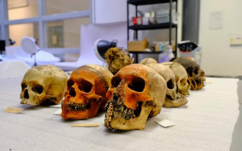 حذف نمایش بقایای انسانی در یک موزه