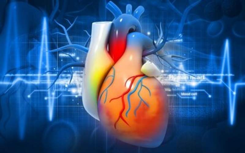 مهم‌ترین علل ابتلا به بیماری‌های قلبی چیست؟