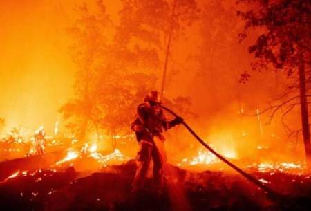 گرمای جهانی عامل گسترش آتش‌سوزی درکالیفرنیا