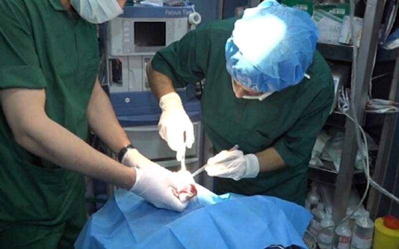 اهدای اعضای بدن دو بیمار مرگ مغزی در برازجان