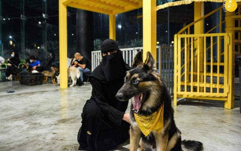 افتتاح اولین کافی شاپ ورود با سگ در عربستان