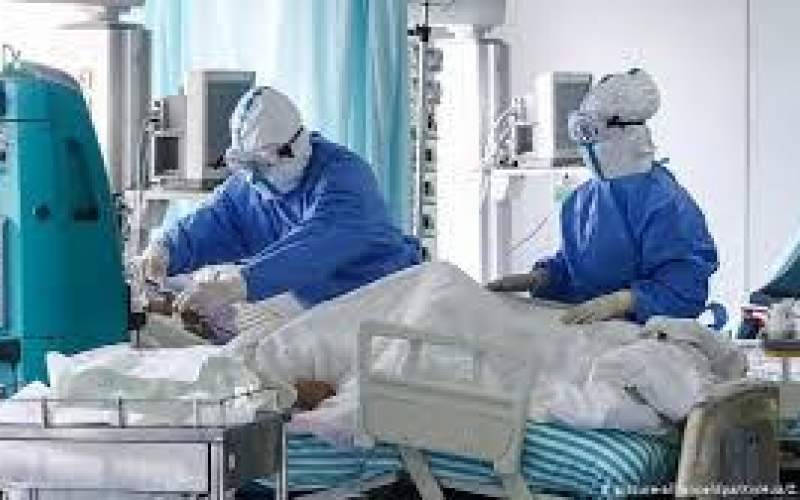 بستری ۳۰۶ بیمار در بخش‌های کرونا در بوشهر
