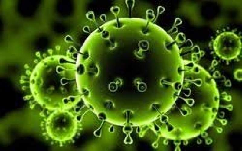 ویروس "کرونا" در کرمانشاه رکورد زد