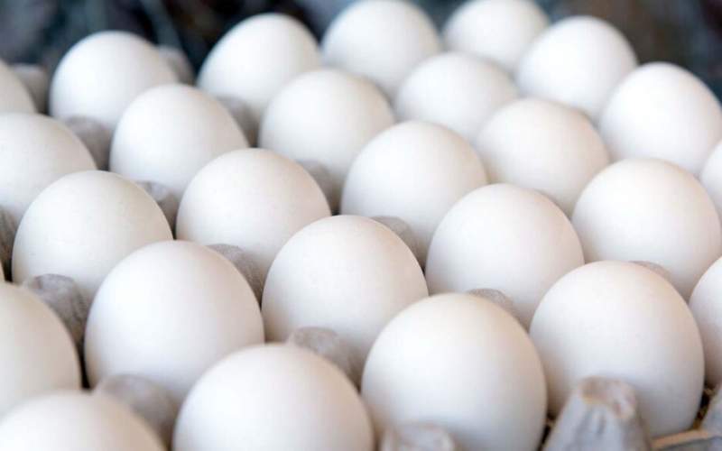 رشد 1400 درصدی قیمت تخم‌مرغ در 10سال
