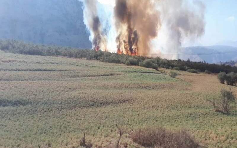 آتش‌سوزی دوباره در تالاب شیمبار خوزستان