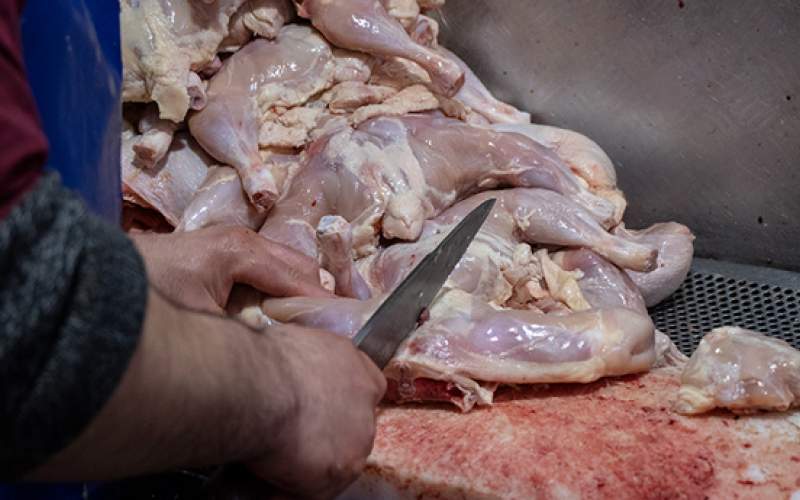 کاهش سرانه مصرف مرغ به دلیل افزایش قیمت