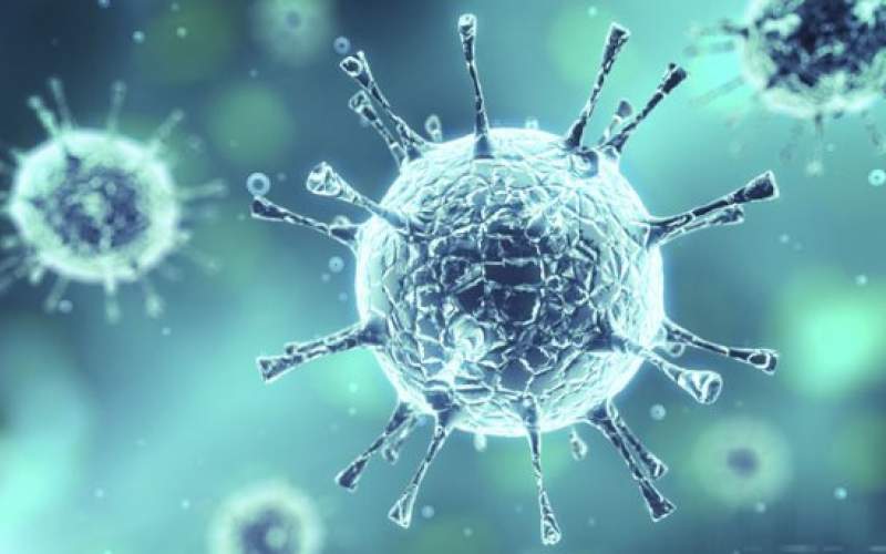 ویروس ها در سرما بیشتر زنده می مانند