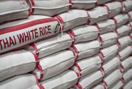 برنج خارجی از ابتدای امسال چقدر گران شد؟