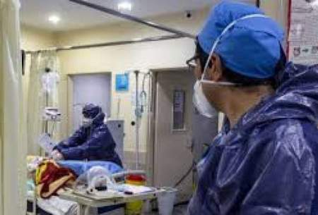 بستری شدن 306 بیمار جدید کرونا در ایلام