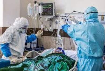 بستری ۷۰ بیمار جدید مبتلا به کرونا در اردبیل