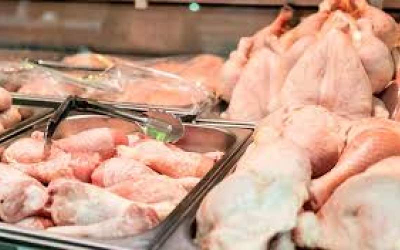 پیش‌بینی قیمت مرغ در بازار