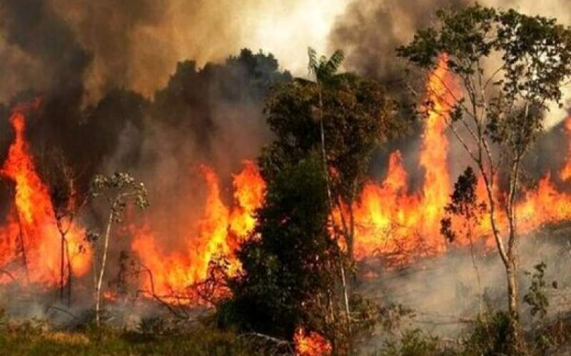 آتش‌سوزی در جنگل‌های گرگان