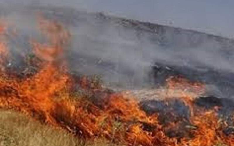 آتش سوزی جنگل های توسکستان مهار شد
