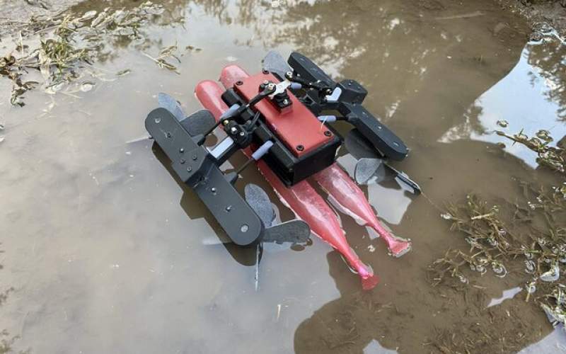 رباتی که با الهام از مارمولک روی آب راه می‌رود