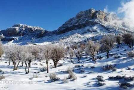 ارتفاعات اندیکا در خوزستان سفید پوش شد