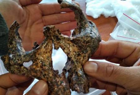 جمجمه ۲میلیون ساله اجداد انسان پیدا شد
