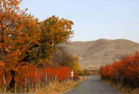 طبیعت پاییزی مناطق روستایی اهر  <img src="https://cdn.baharnews.ir/images/picture_icon.gif" width="16" height="13" border="0" align="top">