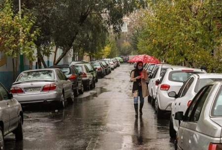 بارش باران در تهران/ تصاویر