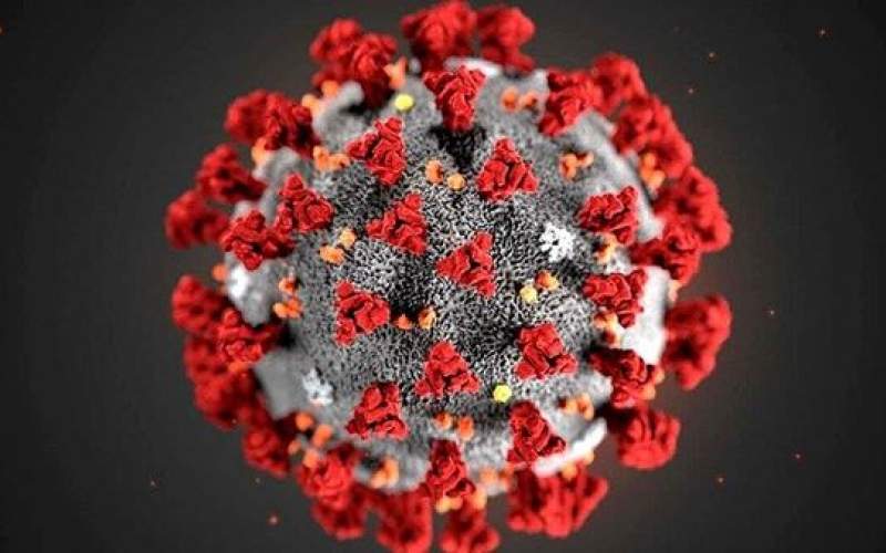 تفاوت مهم ویروس کرونا با سرماخوردگی