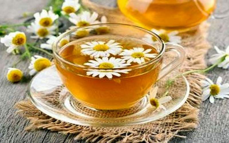 ۹ فایده چای بابونه برای سلامتی/اینفوگرافیک
