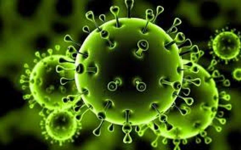 سلاح خانگی برای مبارزه با ویروس کرونا