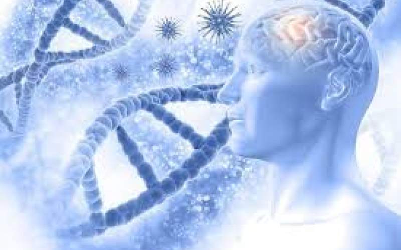 ویرایش ژن‌ها راهی برای اجتناب از آلزایمر