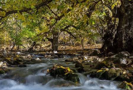 طبیعت پاییزی الشتر - لرستان  <img src="https://cdn.baharnews.ir/images/picture_icon.gif" width="16" height="13" border="0" align="top">