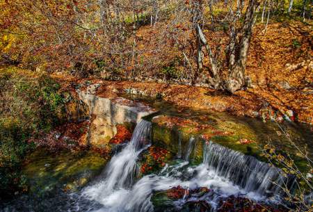 پاییز رنگارنگ ایران  <img src="https://cdn.baharnews.ir/images/picture_icon.gif" width="16" height="13" border="0" align="top">