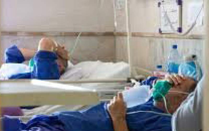بستری ۵۲ بیمار جدید مبتلا به کرونا در البرز