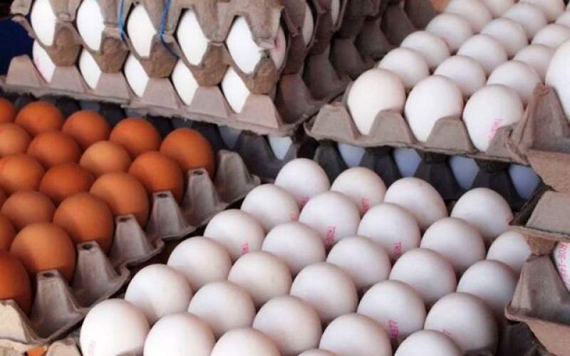 هرشانه تخم مرغ ۴۵ تا ۴۷هزار تومان!
