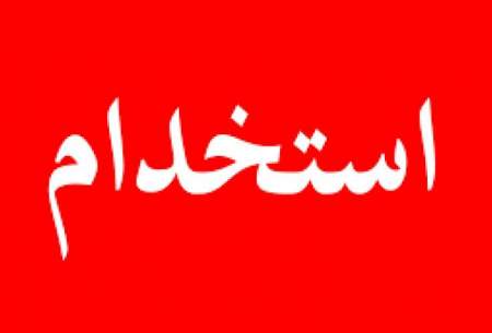 استخدام «شَرخر» توسط شهرداری مشهد