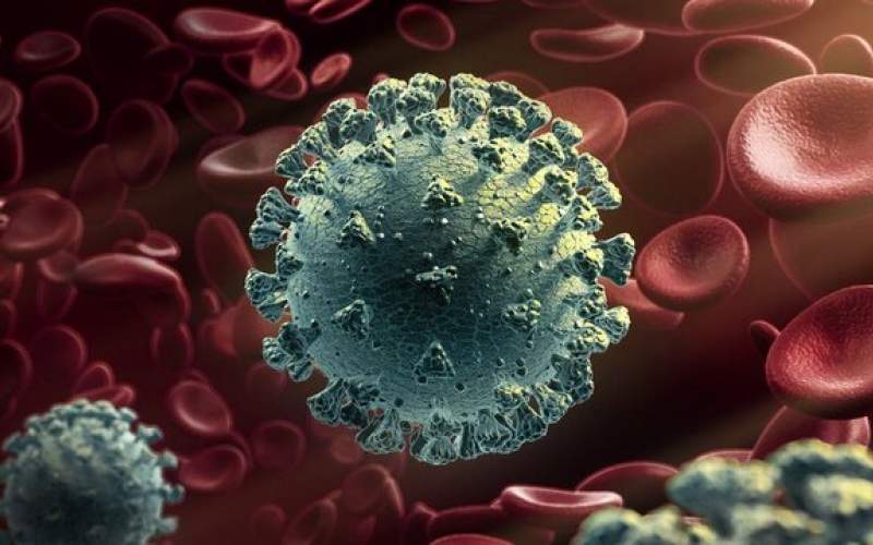 کشف سویه جدیدی از ویروس کرونا در ژاپن