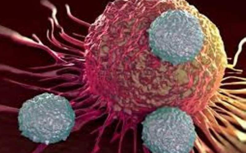 تاثیر میکروب های روده در ابتلا به سرطان سینه