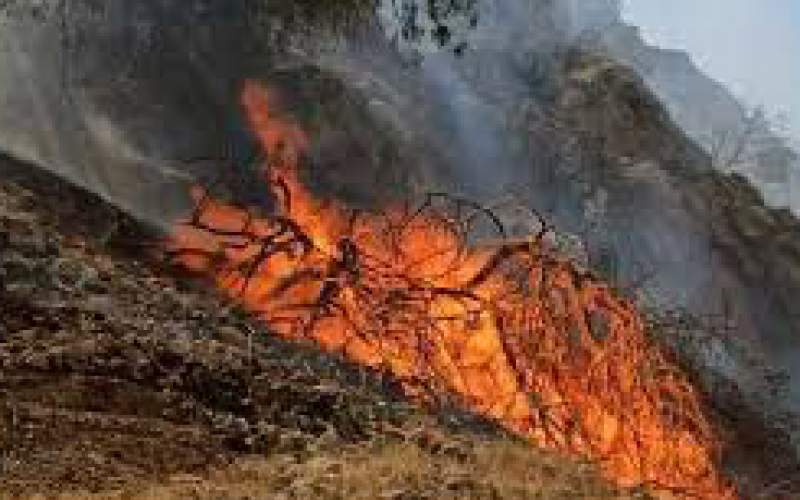 مهار آتش‌سوزی در جنگل‌های سیاهکل و تالش