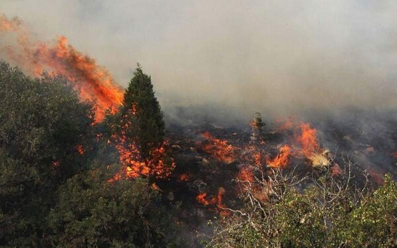 وقوع ۸۱ فقره آتش سوزی در جنگل های گیلان