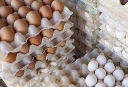 قاچاق تخم مرغ ایران به افغانستان و عراق
