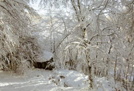 چهره زیبای برفی در مناطق شمالی کشور  <img src="https://cdn.baharnews.ir/images/picture_icon.gif" width="16" height="13" border="0" align="top">