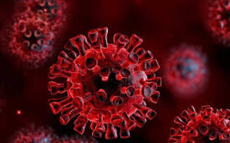 موج چهارم ویروس کرونا خطرناک‌تر است