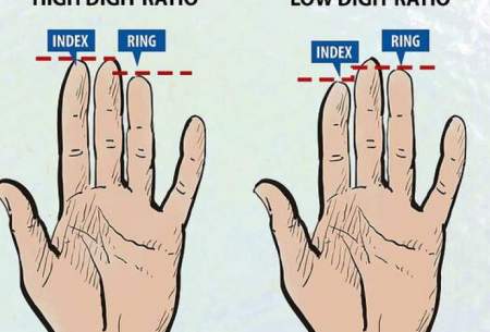 طول انگشتان عادات غذایی افرادرا نشان می‌دهد