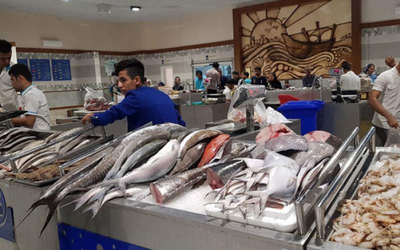 بازار ماهی جزیره کیش؛‌ هم فال و هم تماشا