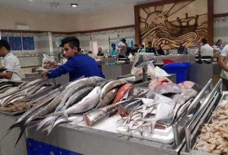 بازار ماهی جزیره کیش؛‌ هم فال و هم تماشا