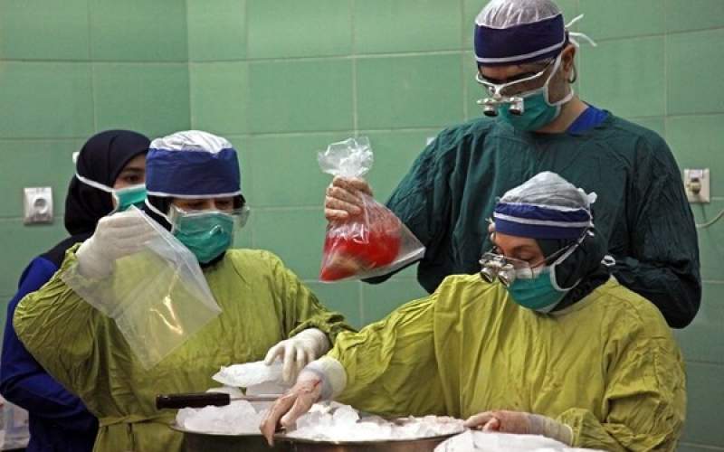 اهدای عضو بانوی مرگ مغزی به 4 بیمار در مشهد