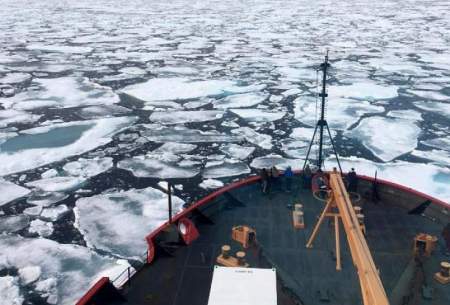ماجرای  کیف پول گمشده در قطب جنوب