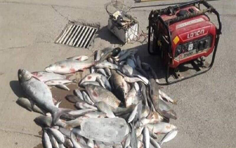 دستگیری متخلفان صید ماهی با برق در سردشت