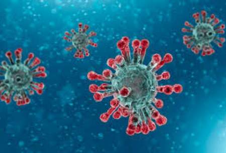 مسری‌ترین ویروس‌های جهان کدامند؟