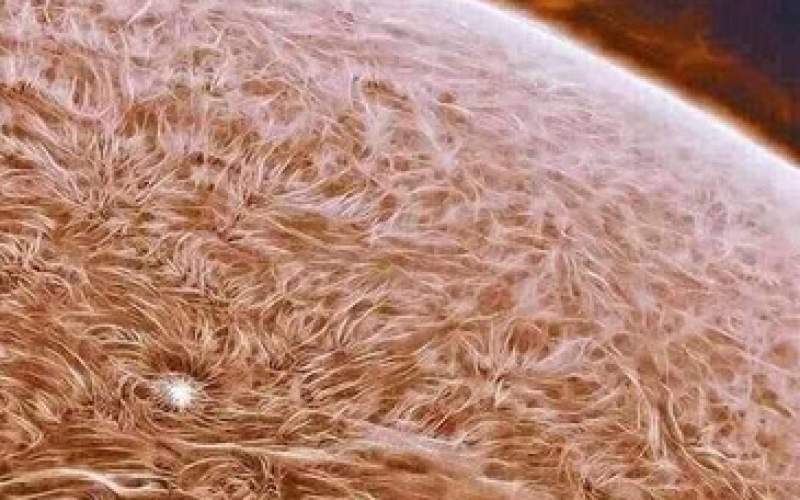 واضح‌ترین تصویر از سطح خورشید منتشر شد