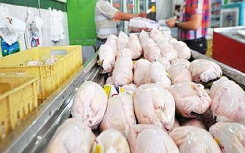 گرانی ادامه دار قیمت مرغ در بازار