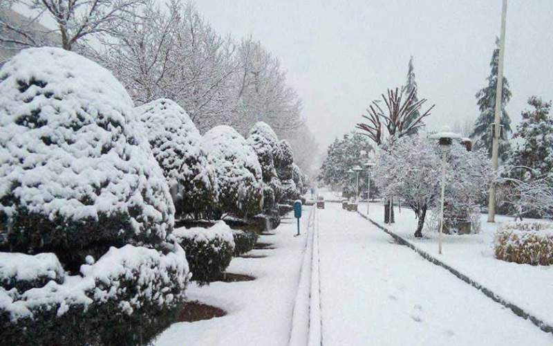 بازگشت سرمای زمستانی به تهران