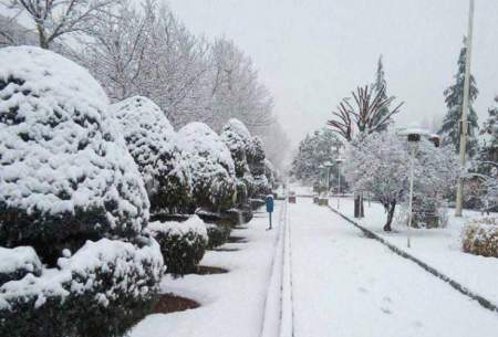 بازگشت سرمای زمستانی به تهران