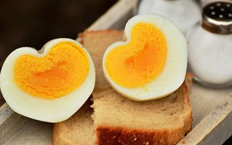 حقایقی علمی درباره زرده تخم مرغ